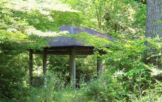 荻窪「読書の森公園」で、本と自然に浸る贅沢な時間