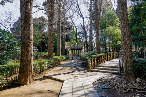 大田黒公園（杉並区・荻窪）｜秋に訪れたい癒しの庭園