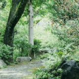 【荻窪の庭園】寒さ深まる11月下旬にこそ訪れたい「角川庭園」