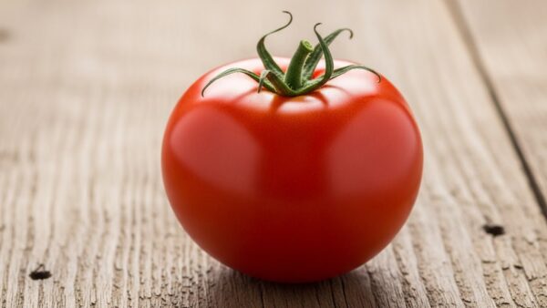 【都会のオアシス】杉並区は実は農業が盛ん！農地面積や人気の野菜生産量ベスト3をご紹介！