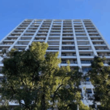 杉並区の人口動態と未来｜データで見る「選ばれる街」の理由