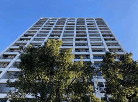 杉並区の人口動態と未来｜データで見る「選ばれる街」の理由