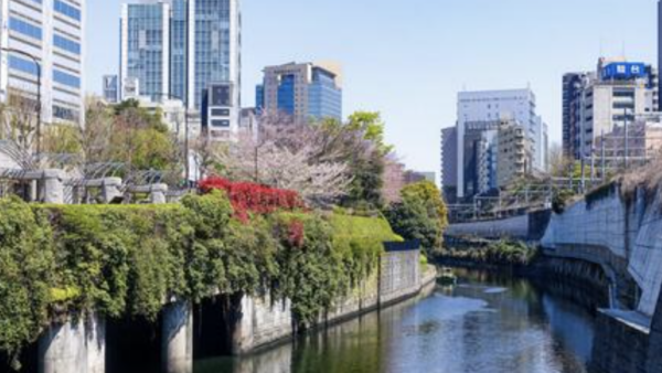 【高井戸・神田川】せせらぎと歩む2025年。不動産プロが語る「水辺の資産価値」