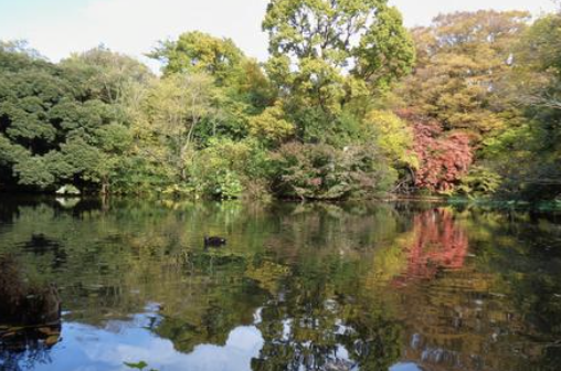荻窪・高井戸の不動産売却なら!公園整備で変わる土地の価値